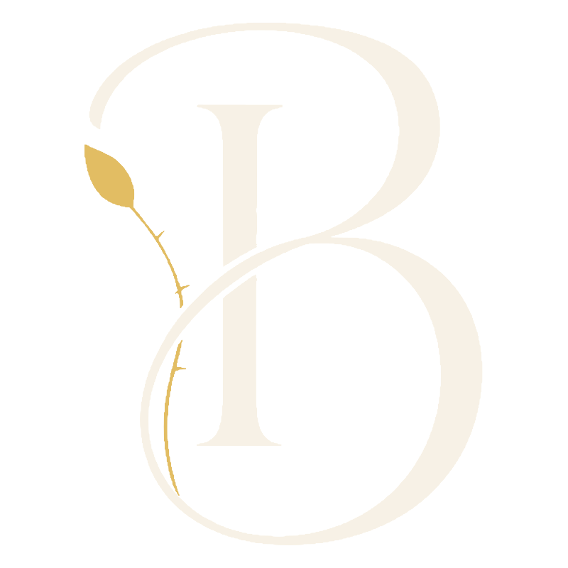 brizova-monogram-svetly-800 Altraidea_logo (2)